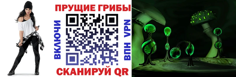 купить наркотик  mega сайт  Псилоцибиновые грибы GOLDEN TEACHER  Называевск 
